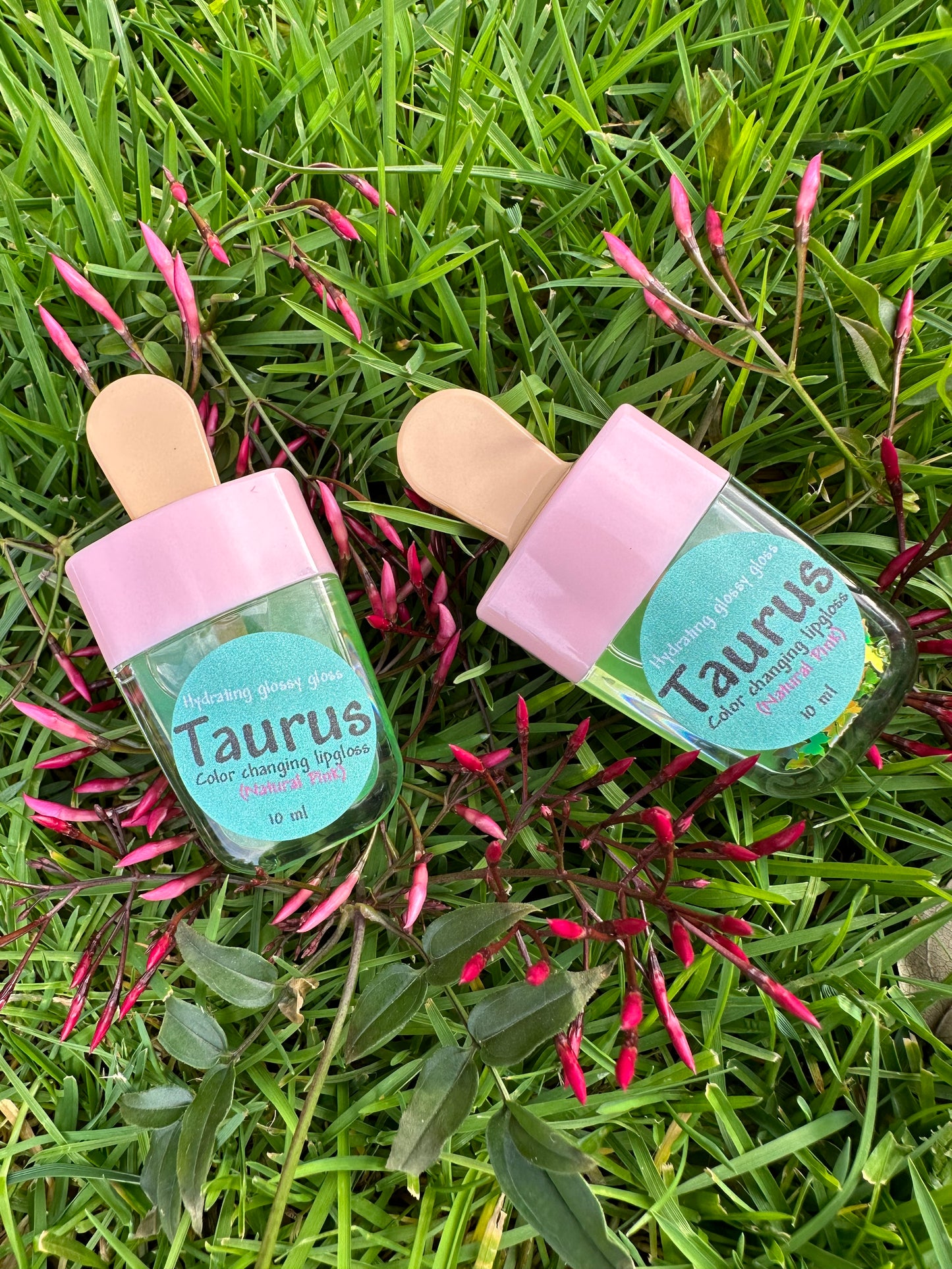 Taurus ♉️ popsicle
